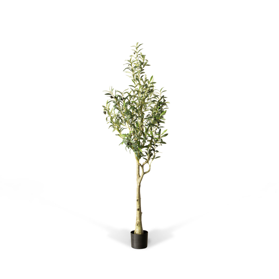 Artificial Olive Tree 70"