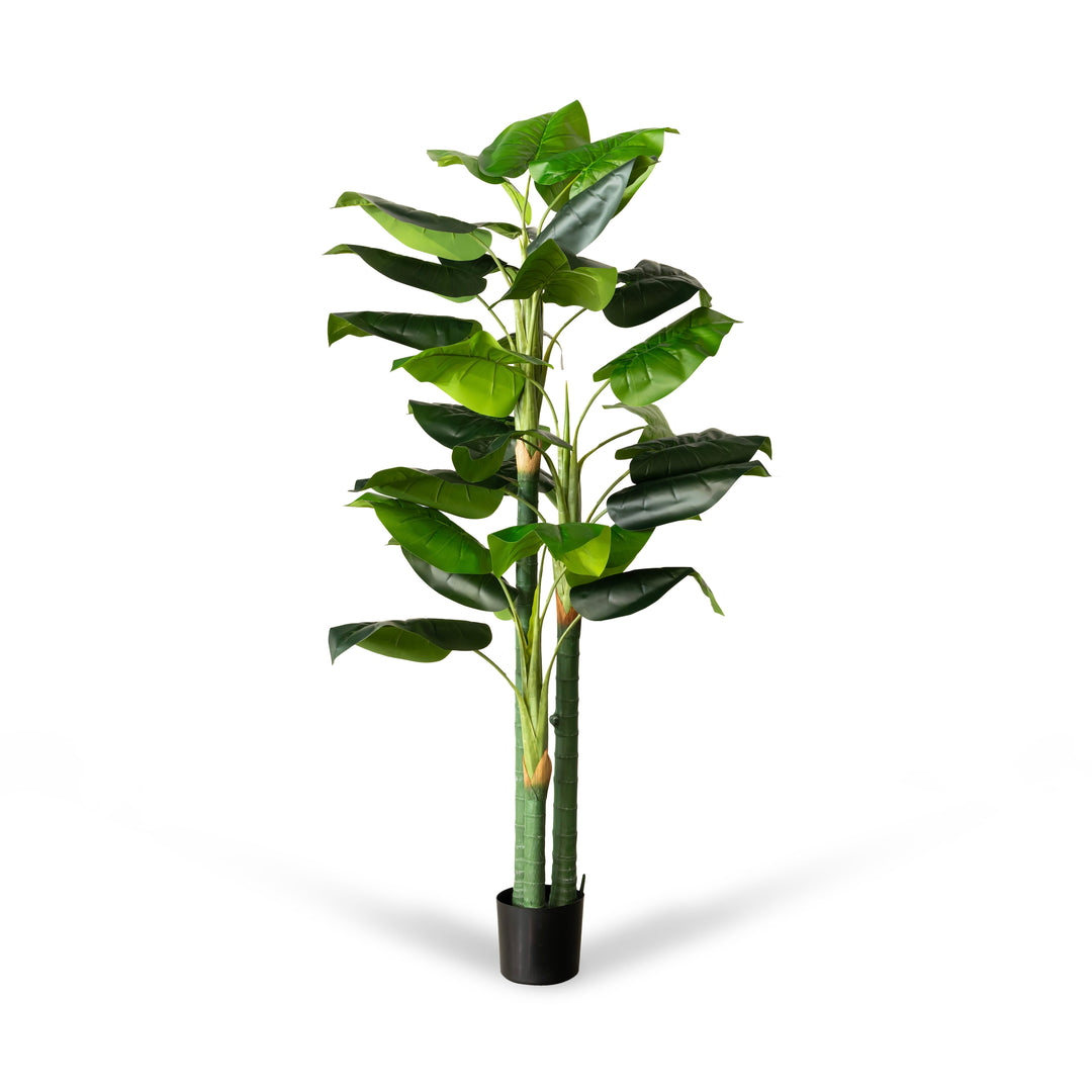 Artificial Wild Taro Tree 70"